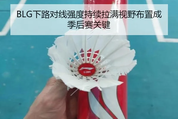 BLG下路对线强度持续拉满视野布置成季后赛关键